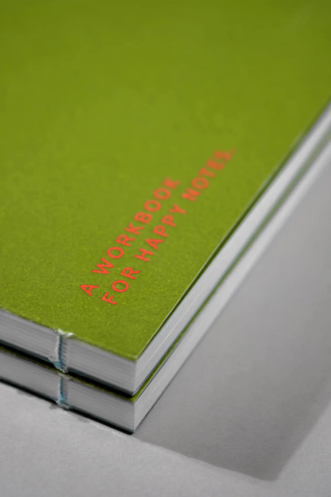 Mona-Wingerter-portfolio-grafiker-grafikdesign-freelance-art-director-monsheim-wachenheim-workbook-notizbuch-sportsohn-ulm-letterpress-pantone-packagingdesign-13