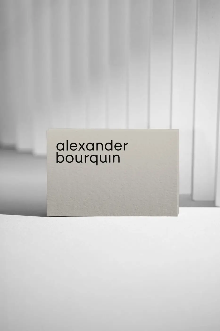 Mona-Wingerter-portfolio-grafiker-grafikdesigner-logo-brand-web-design-responsivedesign-businesscards-sign-kaiserslautern-architect-architekt-logodesign-alexander-bourquin_6